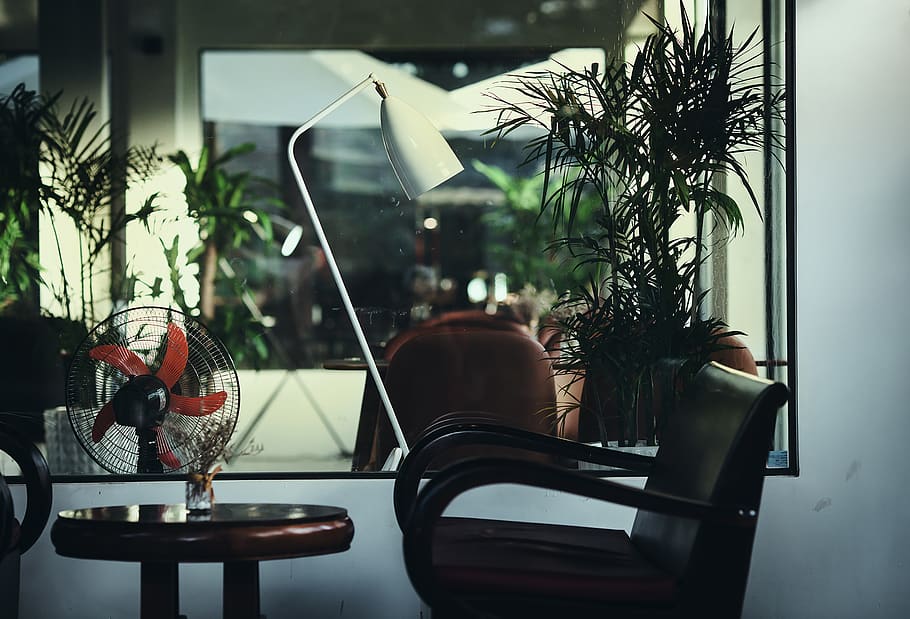 spring, sunny, table, come, fan, coffee, window, indoors, potted plant HD wallpaper