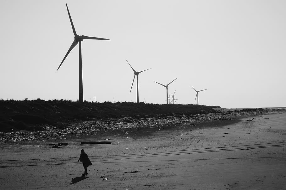 seaside, beach, oceanside, windmill, black and white, bay, bay side, HD wallpaper