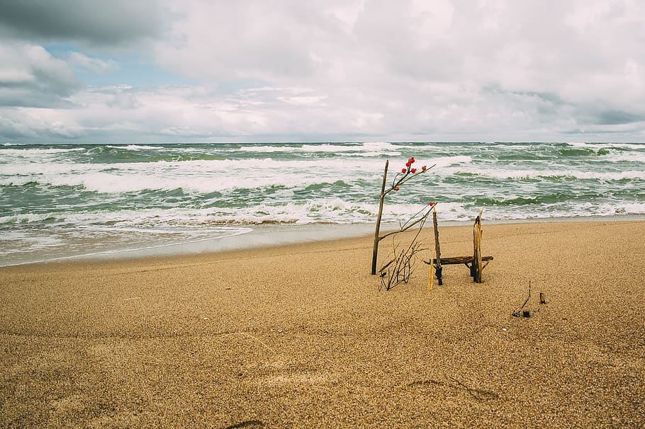 lithuania, ocean, ocean view, waves, sand, sea, fake, trees HD wallpaper