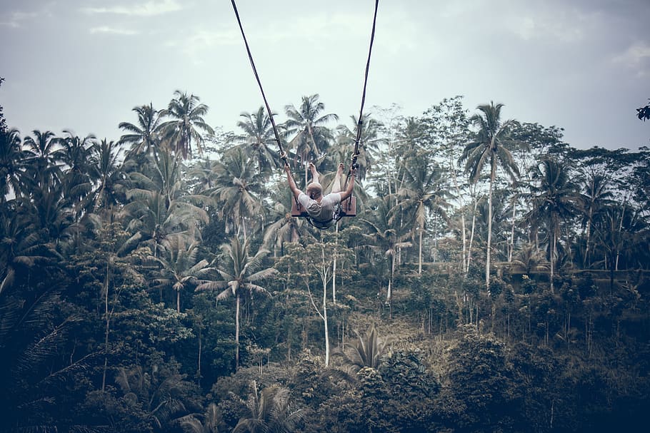 Person Wearing White Shirt Riding Gray Swing Background of Trees HD wallpaper