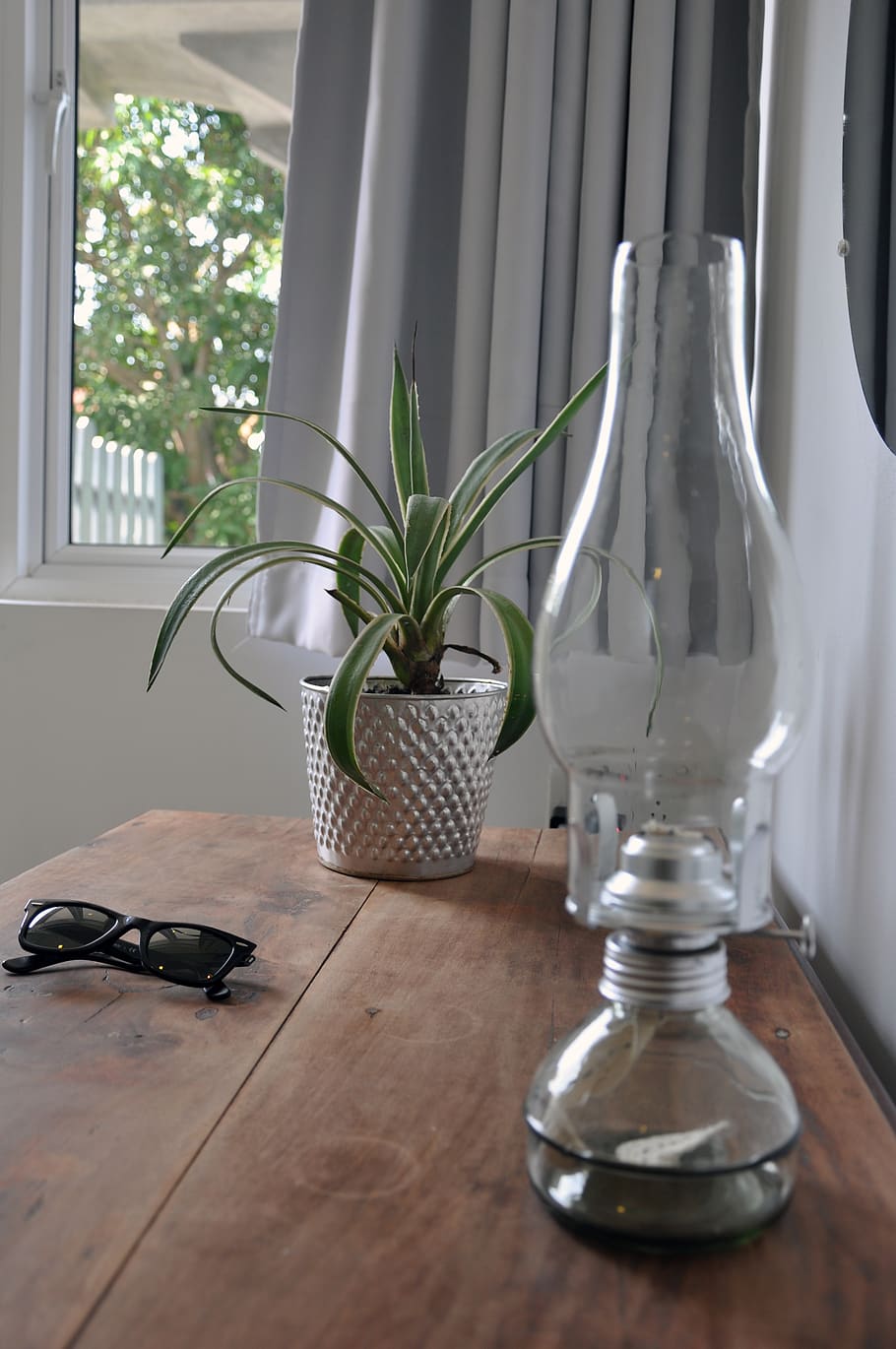 australia, sydney, indoors, plant, table, window, no people HD wallpaper