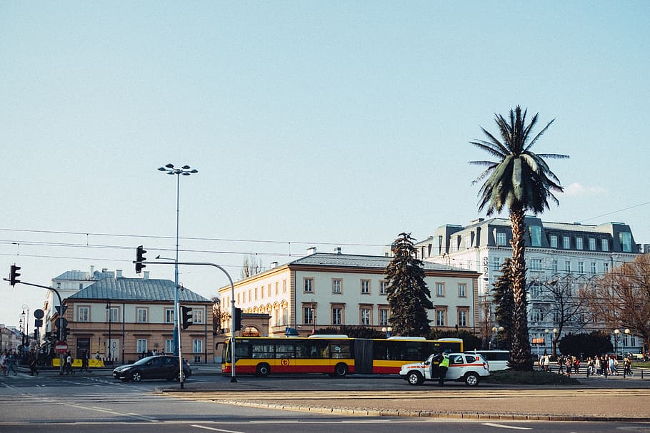 tree, sky, car, warsaw, view, transport, traffic, sunrise, street HD wallpaper