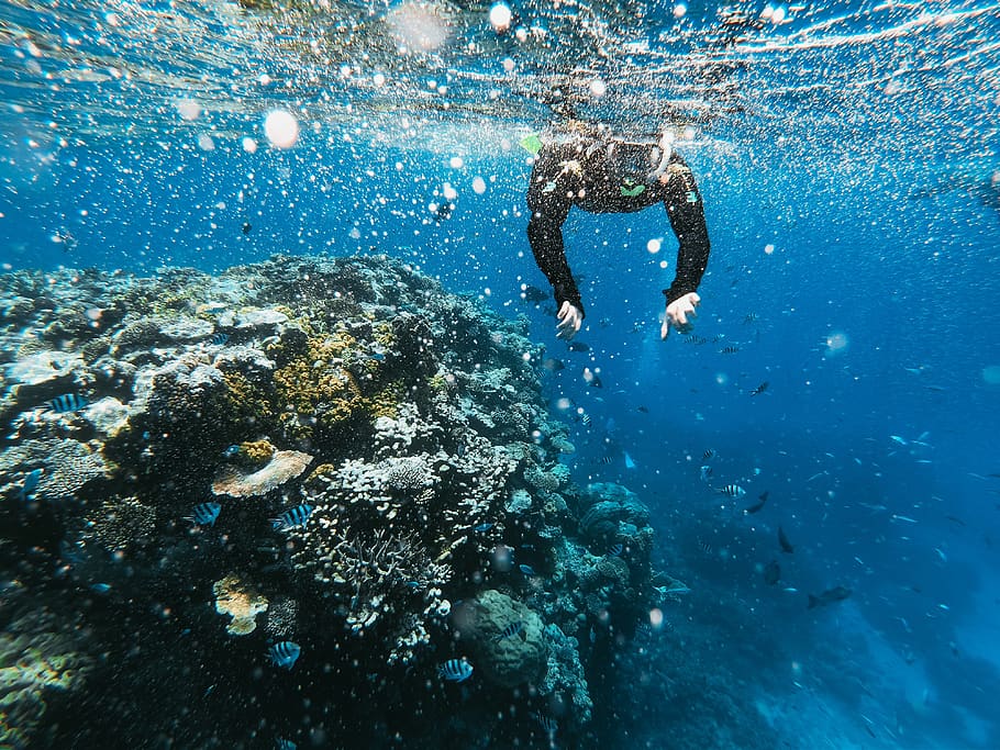 diver under water, underwater, sea, undersea, sport, adventure HD wallpaper