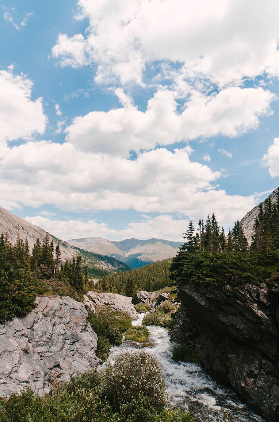 river in valley with trees, cloud - sky, plant, beauty in nature HD wallpaper