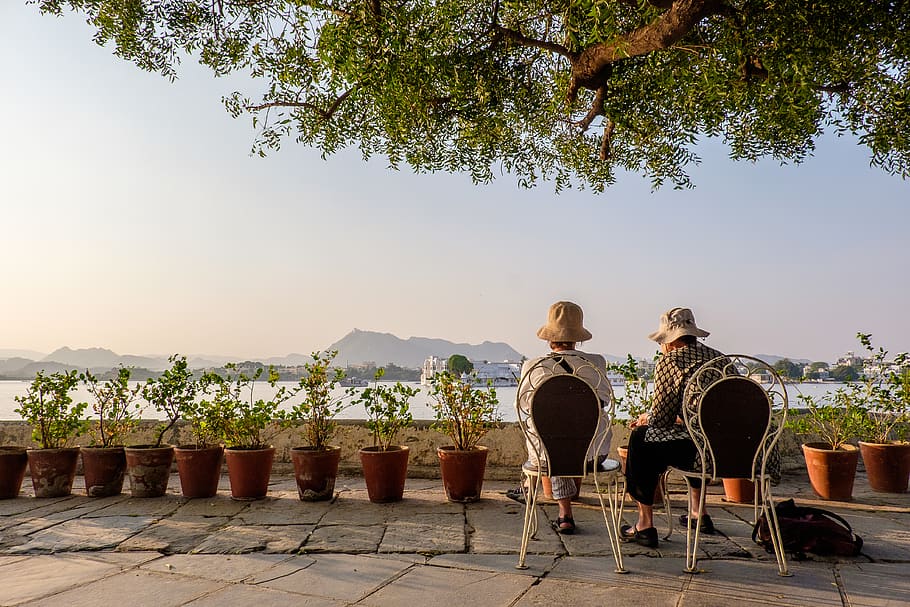 india, udaipur, udaipur city, tourism, elderly, chair, trees