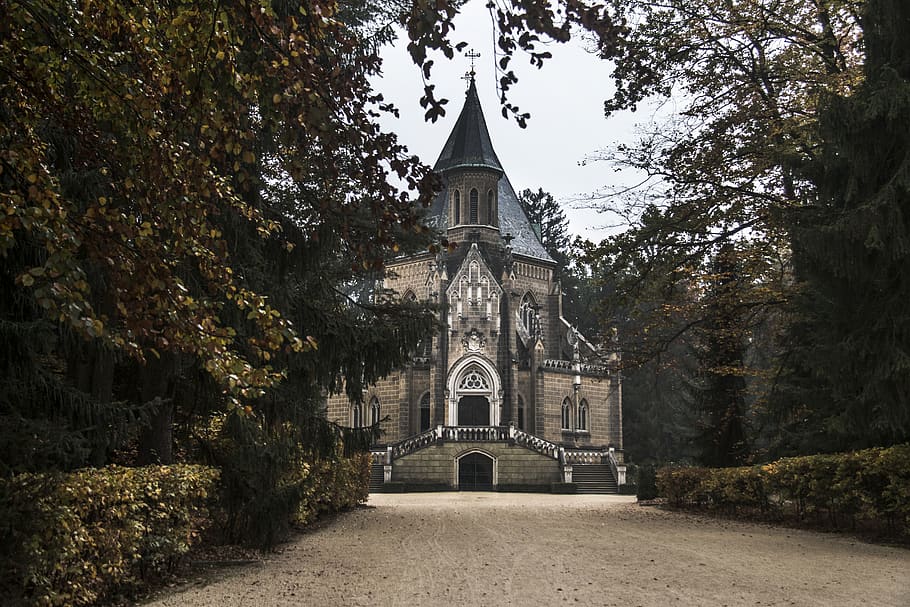 Castle Beside Trees, architecture, building, daylight, exterior HD wallpaper