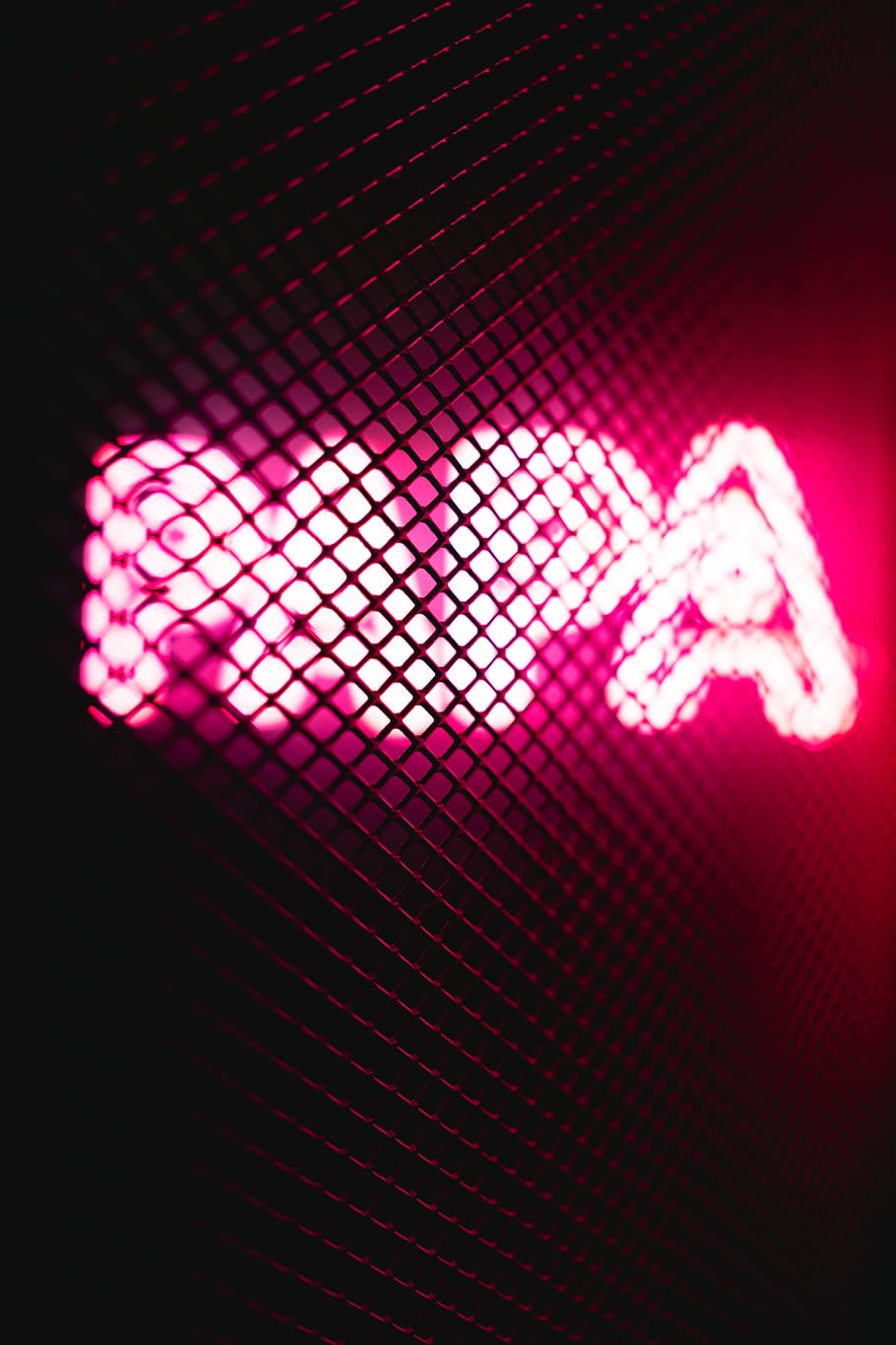 Turned-on Pink Papa Neon Signage, blur, colors, design, focus