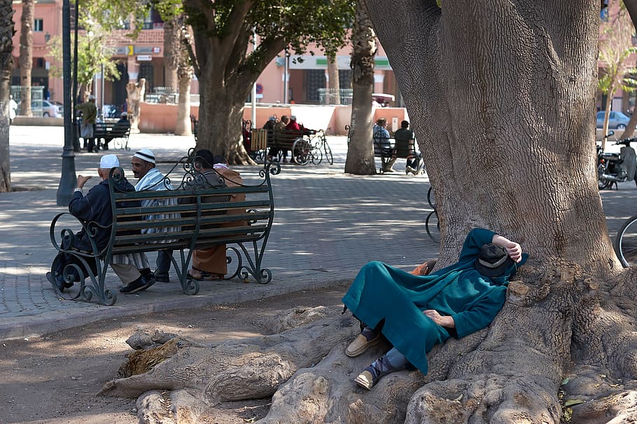 morocco, marrakesh, sleeping, tree, morroco, city, incidental people HD wallpaper