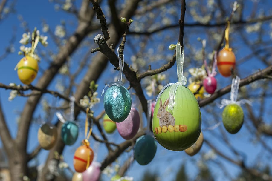 easter, egg, eggs, spring, colorful, colored, painted, cute HD wallpaper