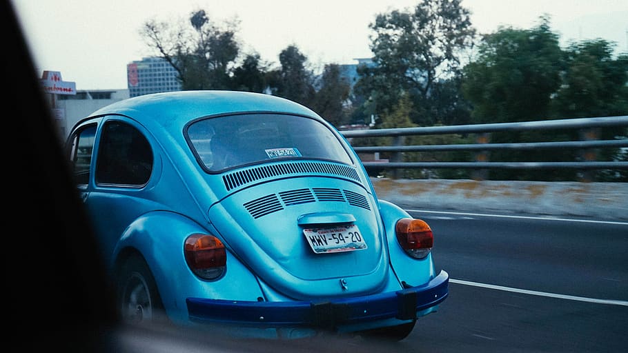 beetle, vw, bug, window, car, driving, highway, road, volkswagen HD wallpaper