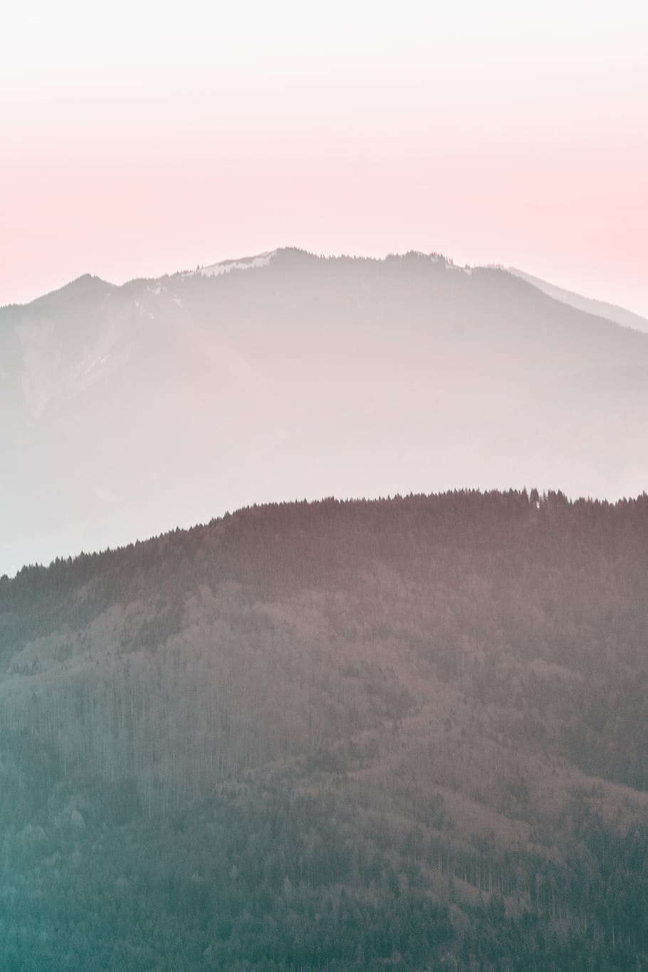 nature, outdoors, mountain range, peak, plant, tree, countryside HD wallpaper