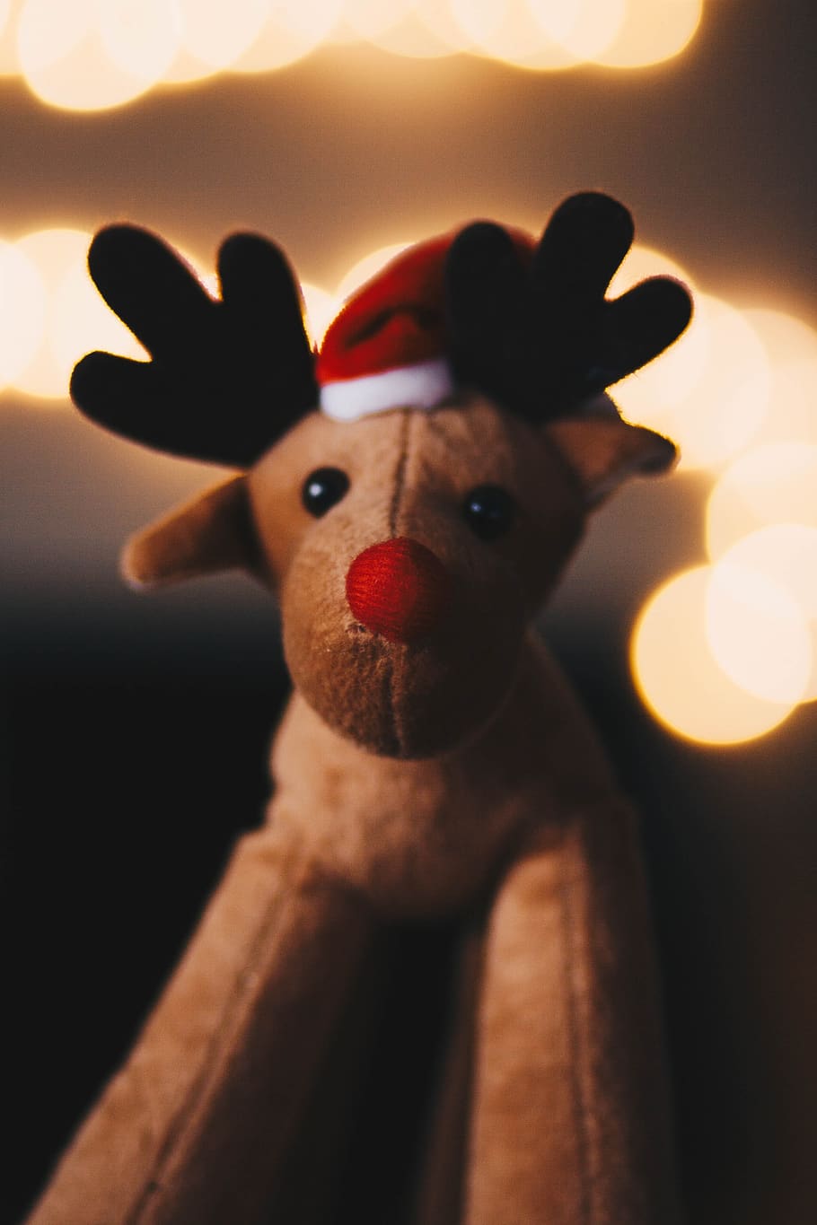 Rudolph Plush Toy, christmas, close-up, doll, reindeer, stuffed animal