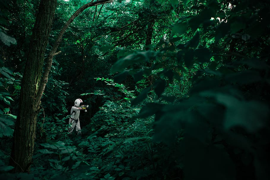 people, man, woods, forest, travel, adventure, costume, white HD wallpaper