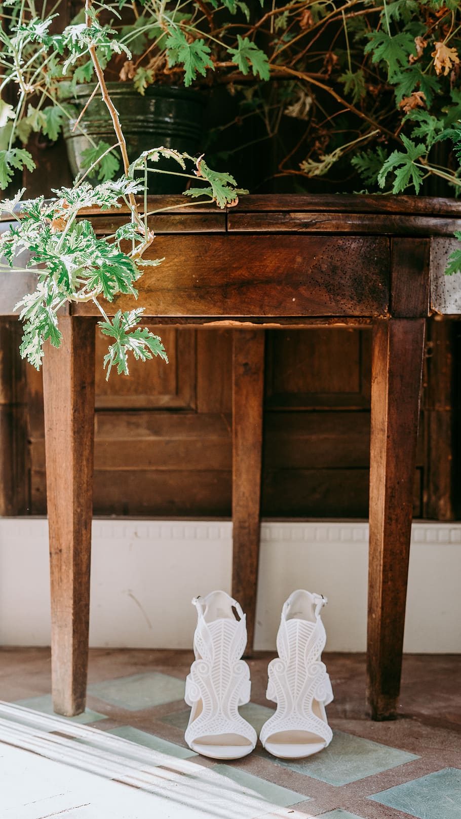 white, sandals, highheels, beautiful, barn, rustic, plants HD wallpaper