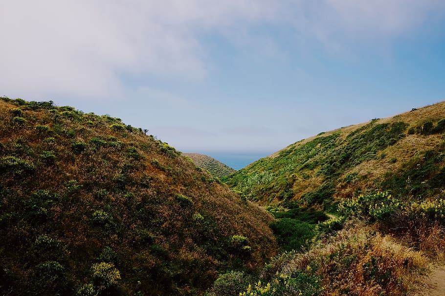 sky, see, ocean, grass, tress, california, beauty in nature HD wallpaper
