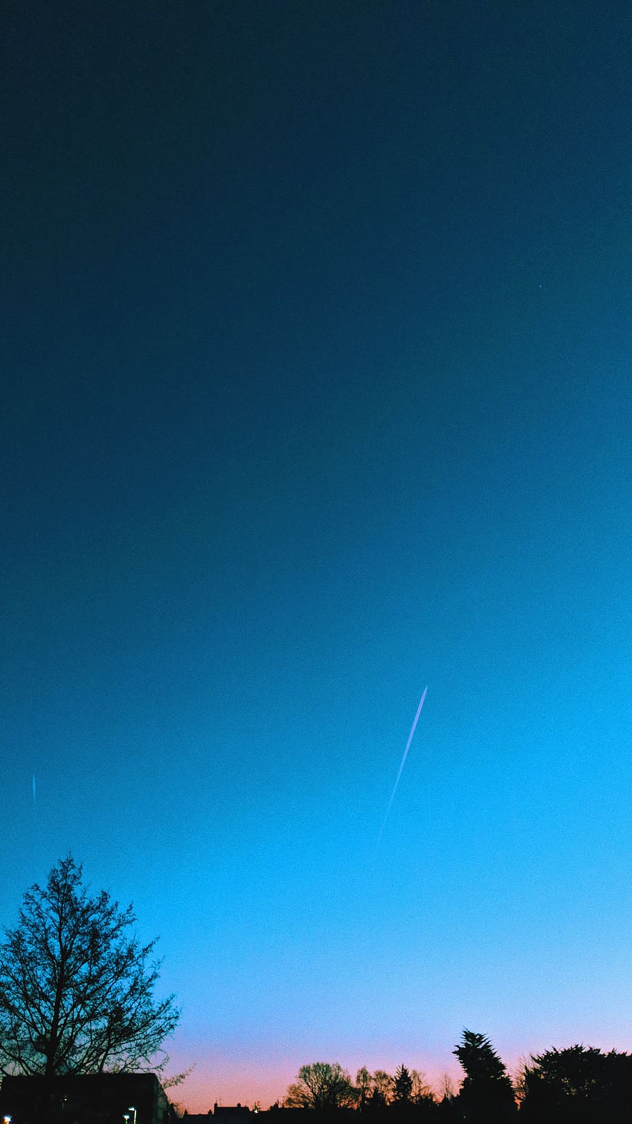 sky, blue, tree, copy space, vapor trail, plant, clear sky HD wallpaper