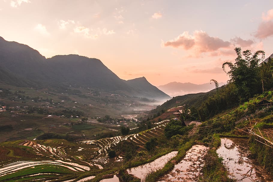 vietnam, goldenhour, sunrise, ricefields, nature, mountain, HD wallpaper