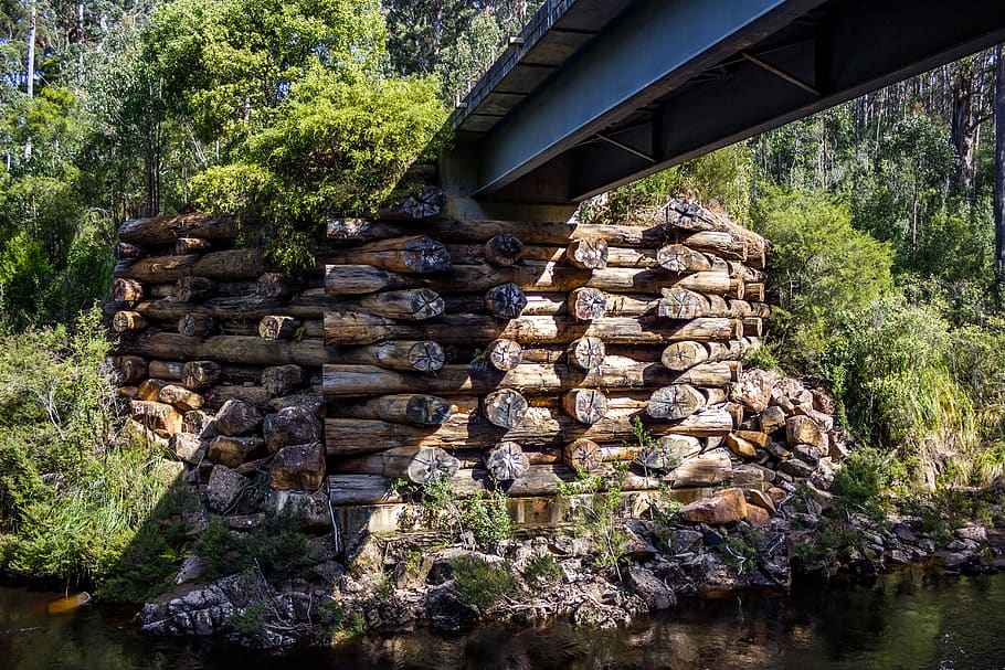 bridge, logs, trees, river, water, built structure, architecture HD wallpaper