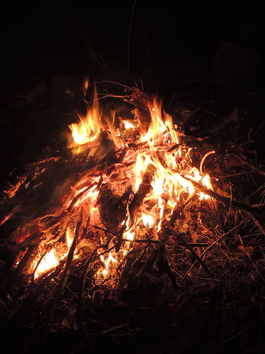 fire, camp fire, burn, burning, campfire, camping, flame, night HD wallpaper