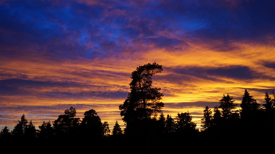 stripes, clouds, skies, tree, cloud - sky, silhouette, beauty in nature HD wallpaper