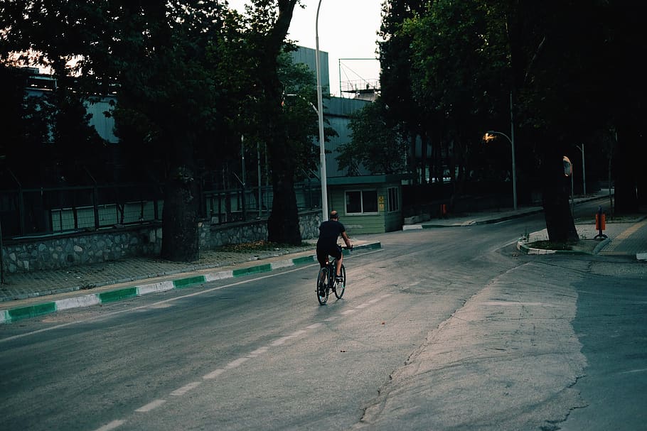 tree, trees, bike, bicycle, city, transportation, ride, plant HD wallpaper