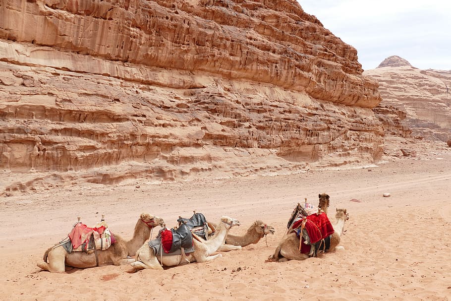 jordan, desert, sand stone, landscape, wadi, wadi rum, mountain