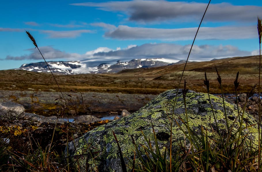 norway, hardangervidda national park, nasjonalpark, nature, HD wallpaper