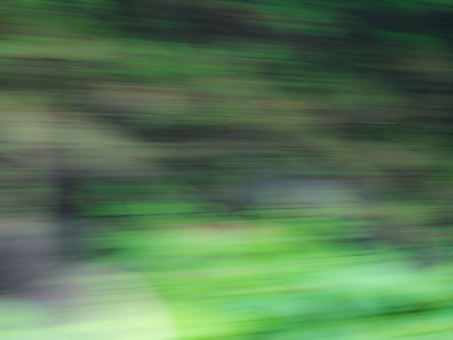 Motion Blur of Trees, Abstract, Nature, black, green, blurred motion HD wallpaper