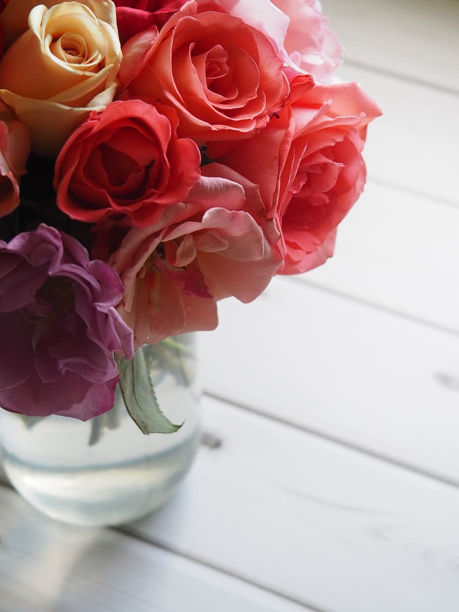 Shallow Focus of Red and Pink Flowers, anniversary, beautiful HD wallpaper