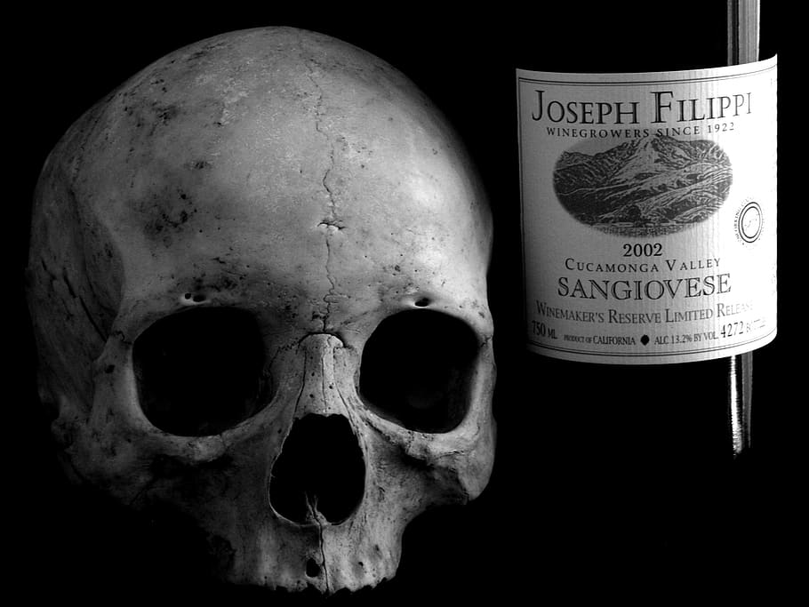 skull, human, human skull, death, detail, wine, 2002, sangiovese HD wallpaper