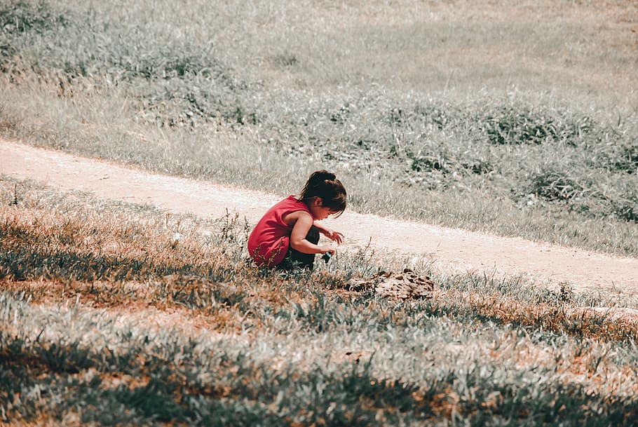 one person, childhood, males, land, nature, men, field, plant HD wallpaper