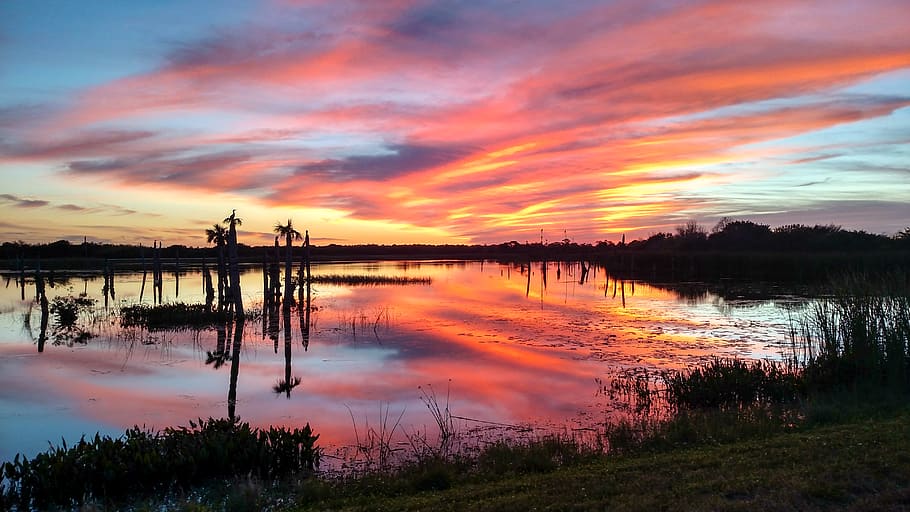 Viera Wetlands 1080p 2k 4k 5k Hd Wallpapers Free Download Images, Photos, Reviews