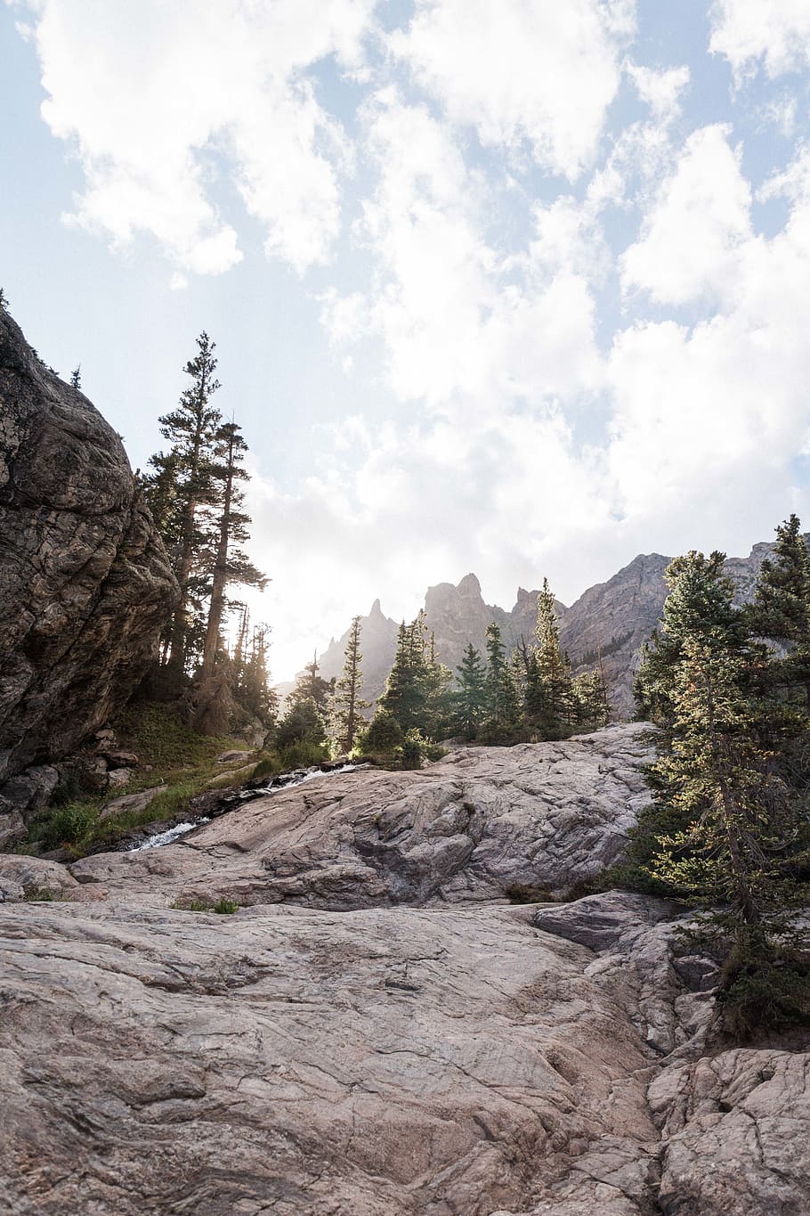 united states, estes park, background, mountains, tree, wallpaper, HD wallpaper