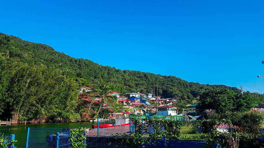 green, trees, sky, blue, river, boat, houses, tropical, red HD wallpaper