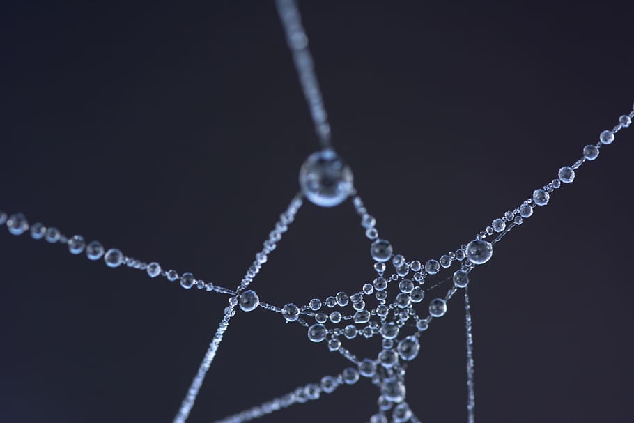 Silver-colored Bracelet, abstract, art, beads, blur, bright, close-up HD wallpaper