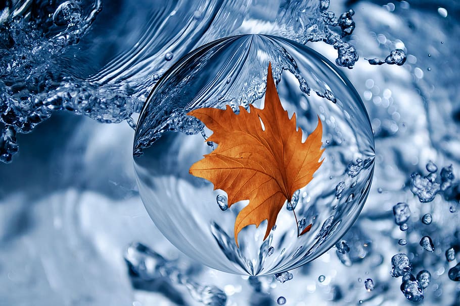water, leaf, spray, ball, drip, nature, close-up, autumn, plant part HD wallpaper