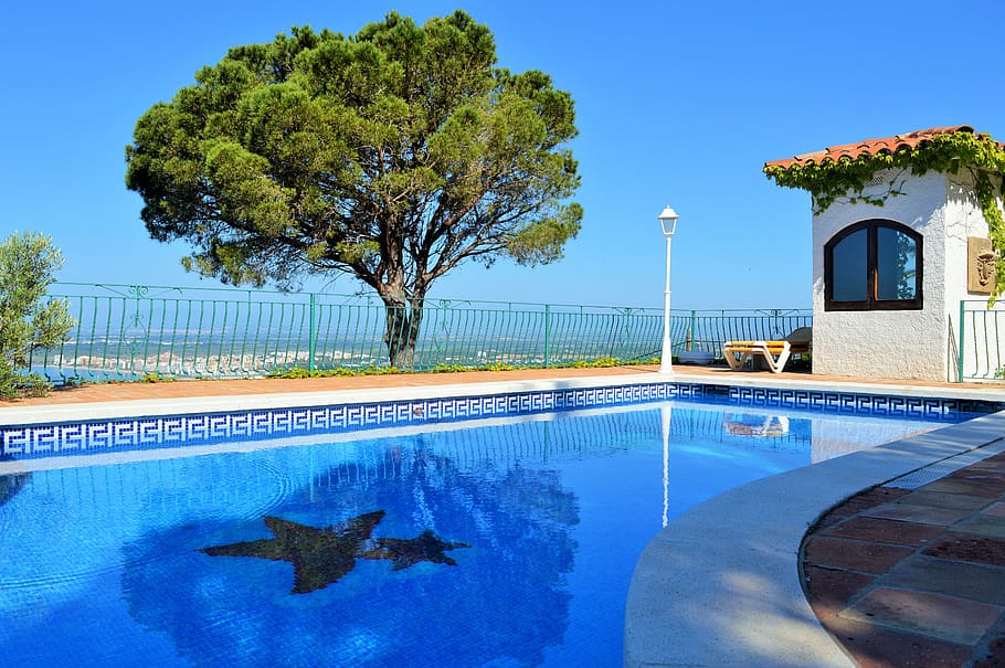 Green Leafed Tree Near Swimming Pool, poolside, relaxation, water HD wallpaper