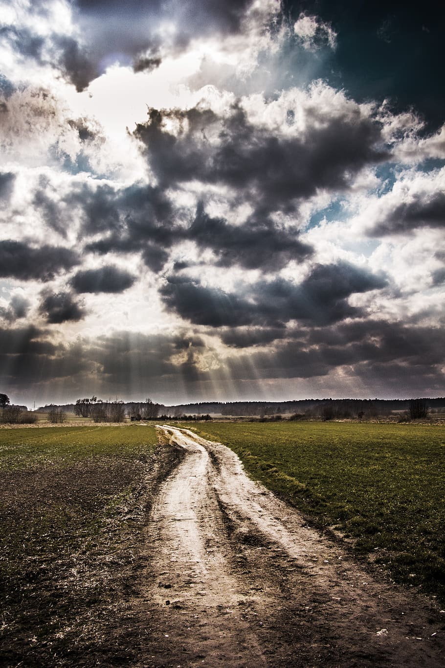 sky, clouds, dirt road, pathway, field, nature, environment HD wallpaper