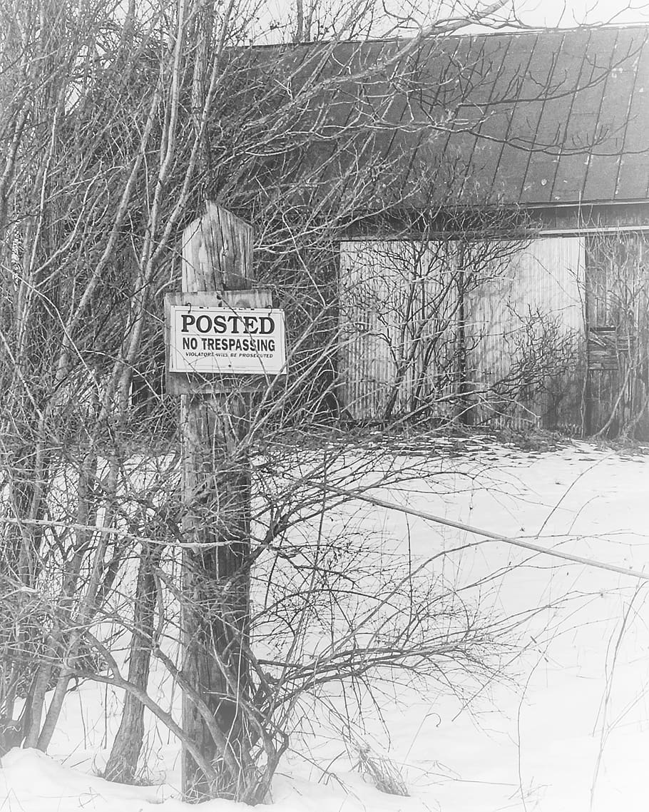 no trespassing, barn, posted, tree, old, communication, sign HD wallpaper