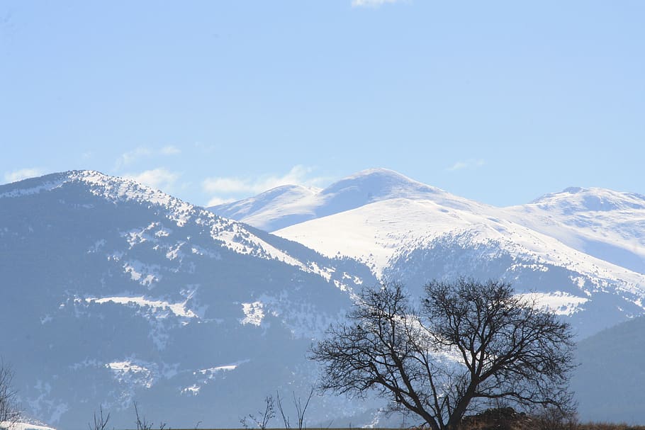spain, llívia, mountains, lonely, clouds, tree, landscape HD wallpaper