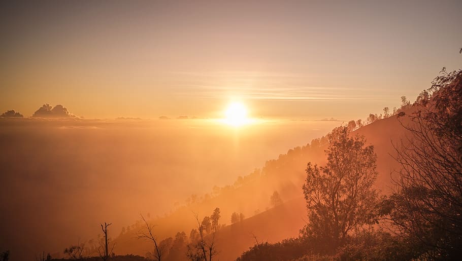 trees and mountain at sunrise, sky, dawn, nature, sunset, red sky HD wallpaper