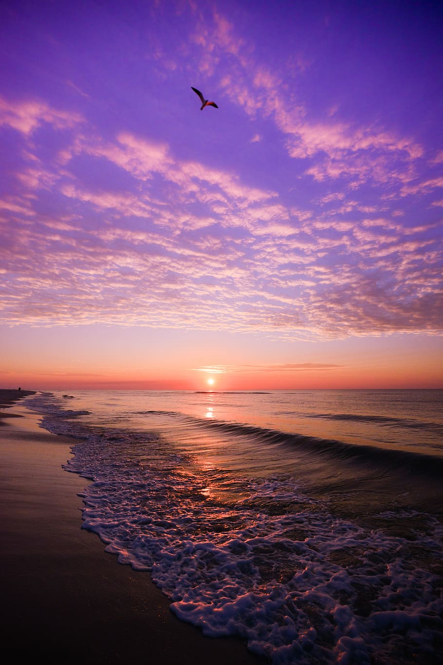 HD wallpaper: sunset, dusk, evening, dawn, water, sea, ocean ...
