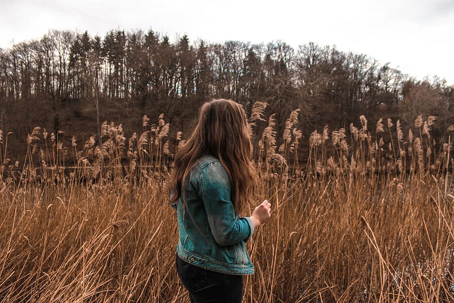 plant, land, field, standing, one person, real people, hairstyle HD wallpaper
