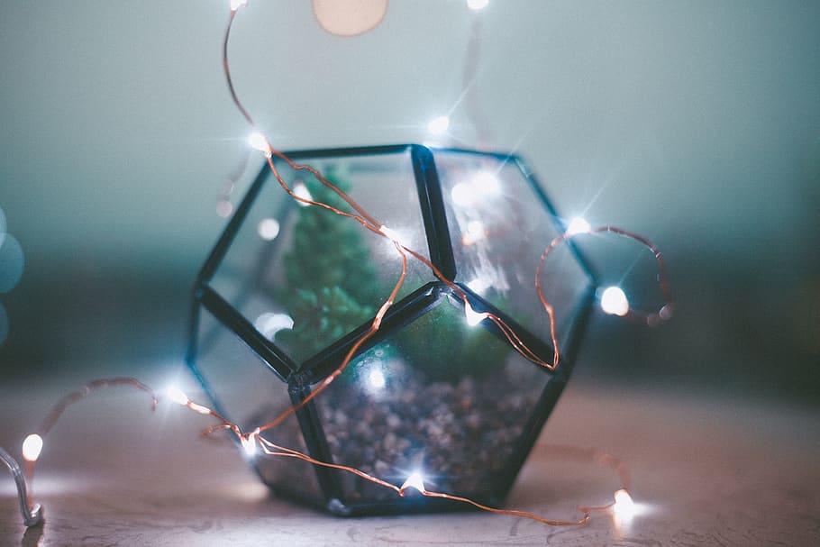 Closeup Photo of Lighted String Light, blur, bright, close-up HD wallpaper