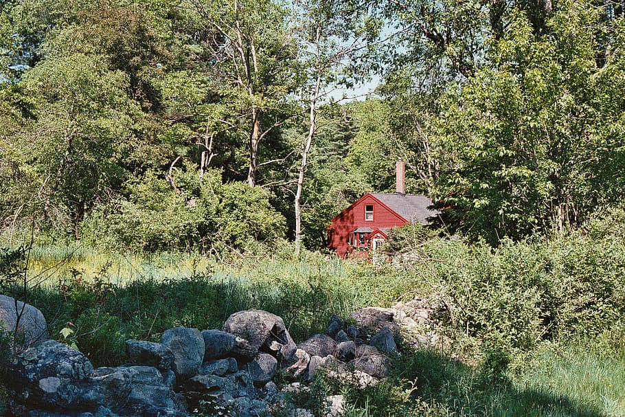 Barn hollis. Красные сооружения в лесу.