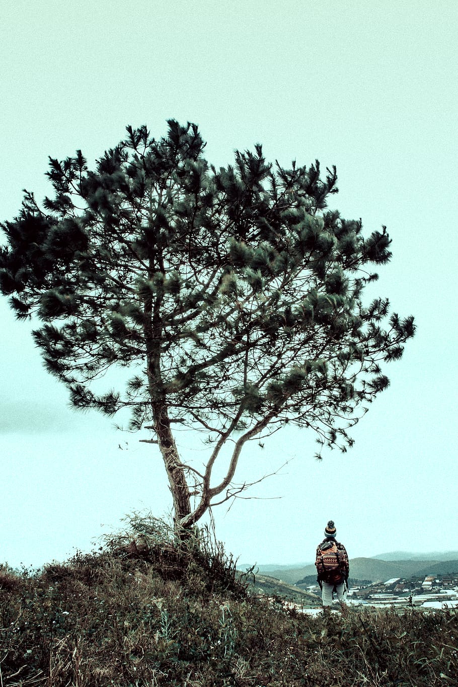 forest, tree, plant, sky, real people, one person, lifestyles HD wallpaper
