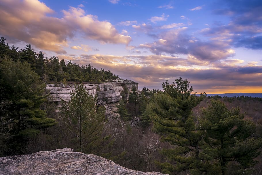 green-leafed tree across cliffs, cloud - sky, plant, beauty in nature HD wallpaper