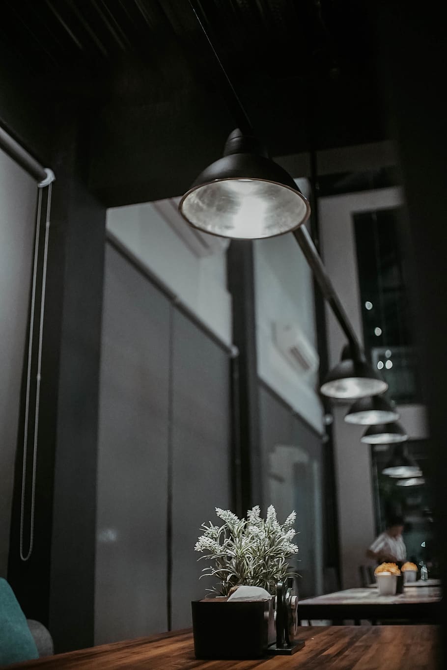 plant on brown table, indoors, lighting equipment, potted plant HD wallpaper