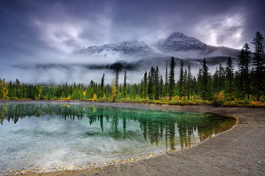 trees on mountain foot, water, scenics - nature, beauty in nature, HD wallpaper