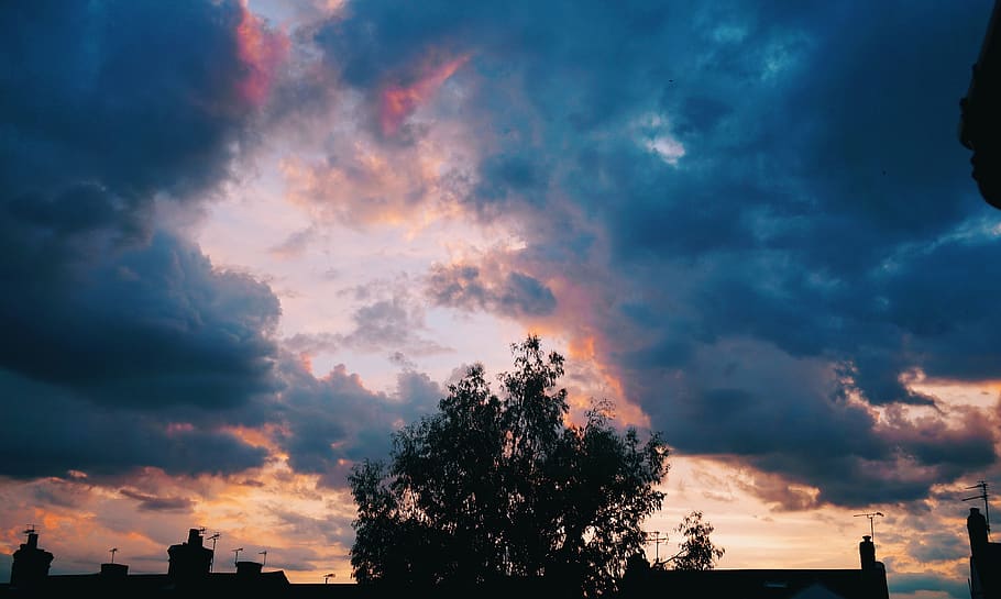 sunset, dusk, evening, night, nightfall, moody, clouds, tree HD wallpaper
